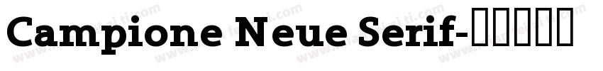 Campione Neue Serif字体转换